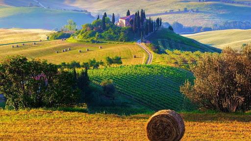 Italia: Pertanian Paling Hijau Di Eropa