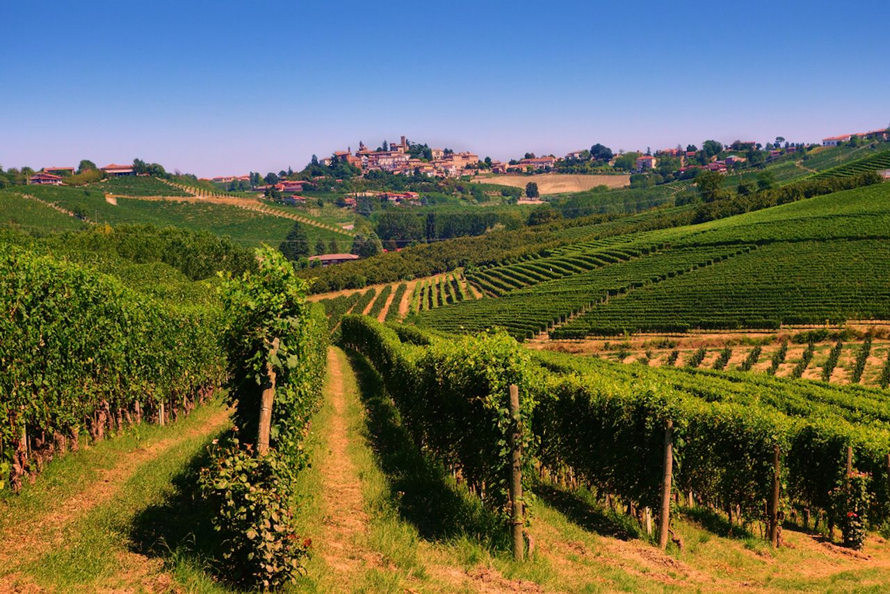 Daerah Wine Terbesar di Italia